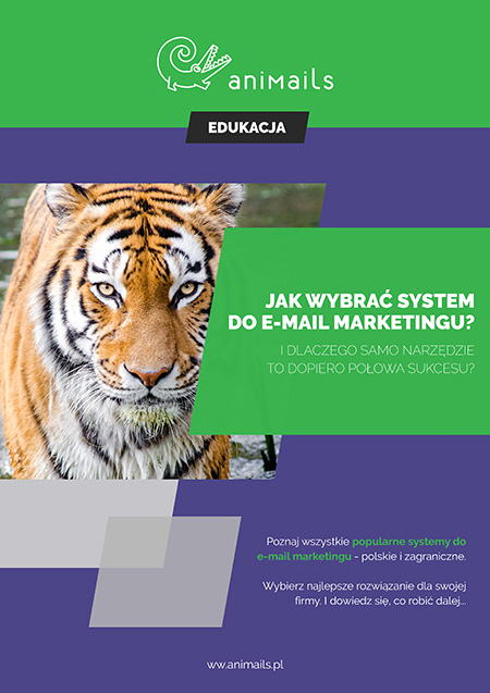 Jak wybrać system do e-mail marketingu?