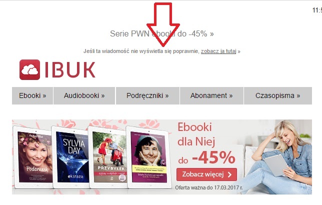 link podglądowy w kampanii mailingowej - przykład